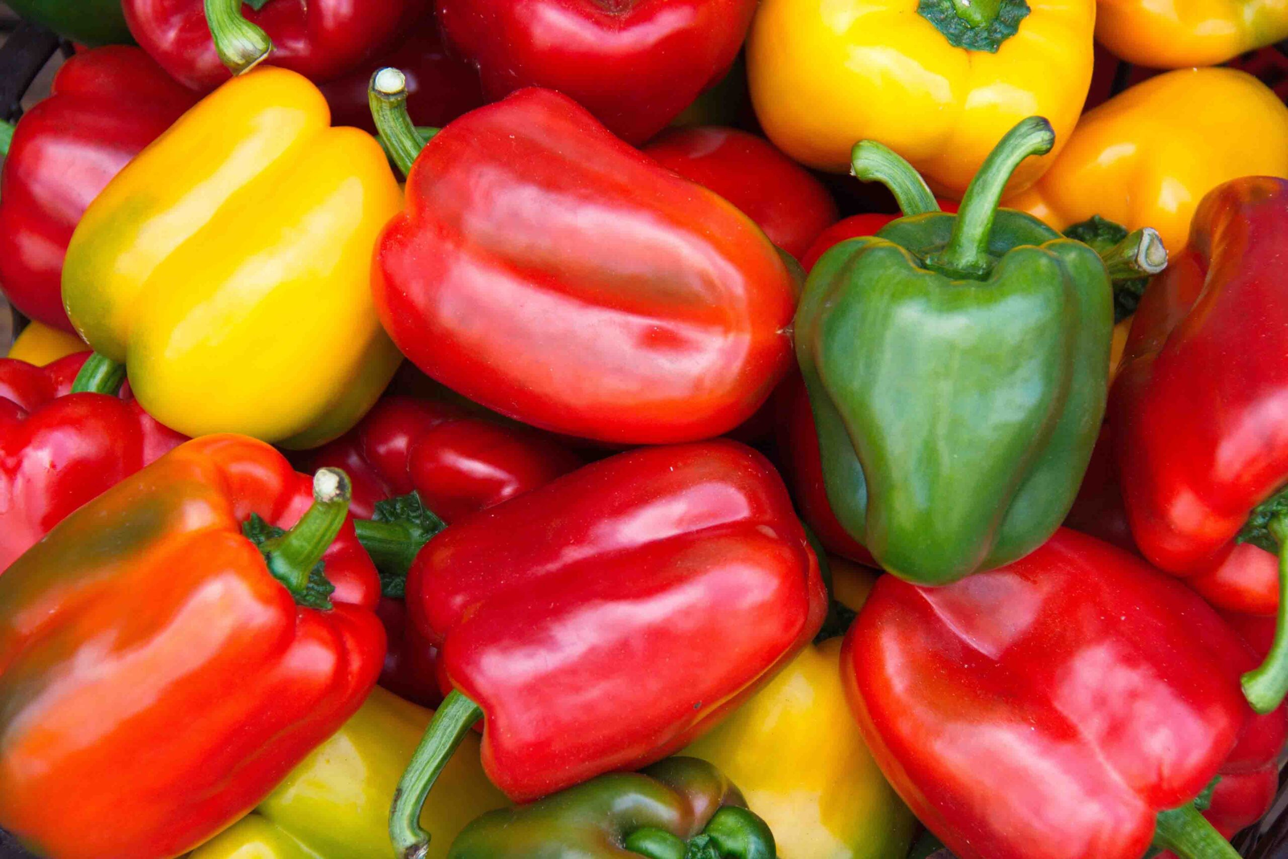 The red pepper, rich in carotenoids, combines visual appeal with a mild, complex flavor profile 🙂