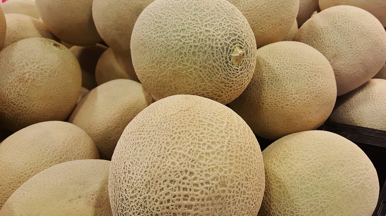 Melon – soczysty owoc pełen zdrowia i orzeźwienia!