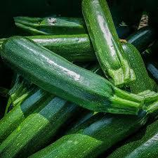 In the quiet of the garden, zucchini grows like a secret whispered in green 🙂