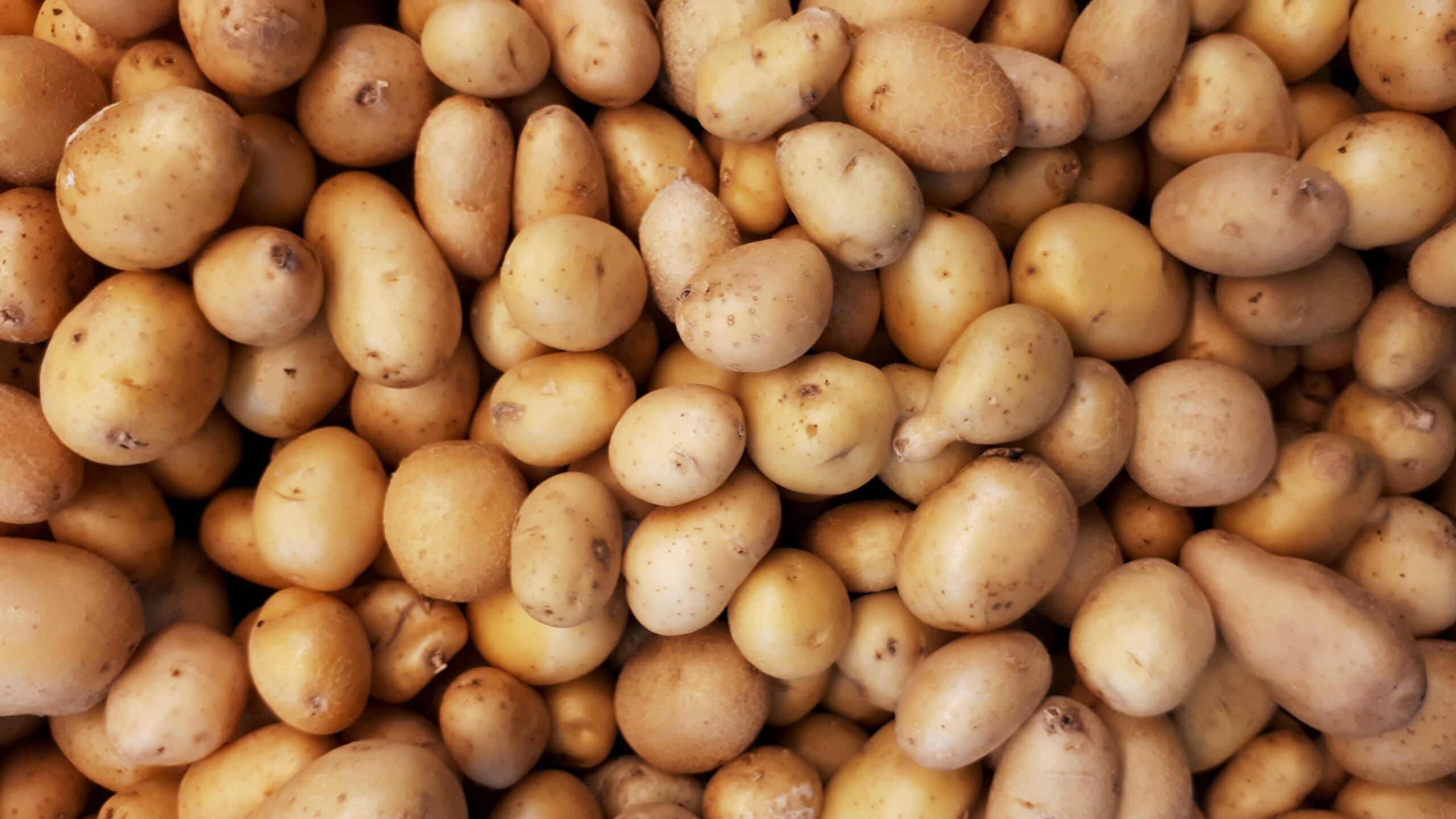The potato, simple yet profound, embodies the beauty of resilience, offering nourishment in its many forms to cultures across the world 🙂