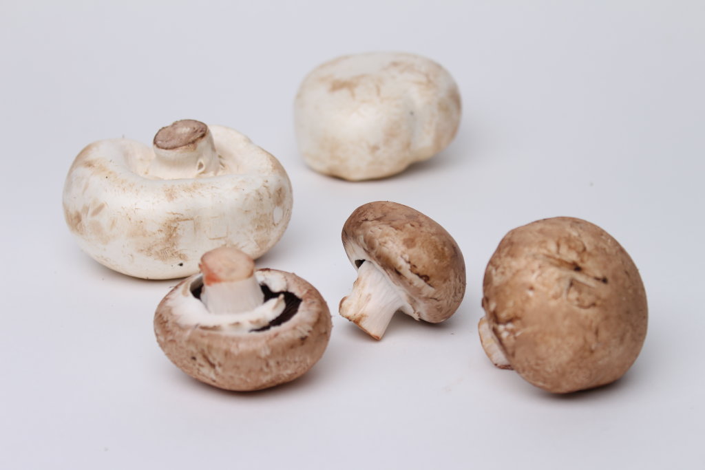 Low-Cal, High-Nutrient: The Surprising Power of White Mushrooms 😉